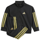 BLACK/GOLDMT